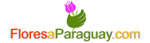 floresaparaguay.com